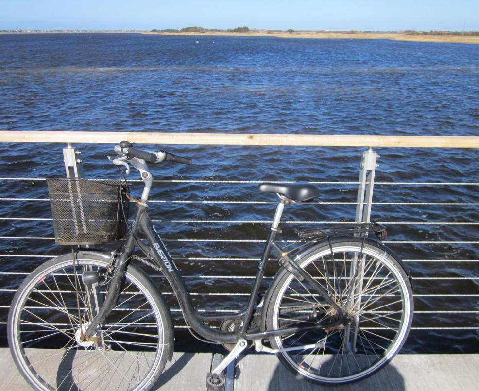 Cykelidéer efterlyses - og realiseres! I oktober 2017 efterlyste Ringkøbing-Skjern Kommune gode idéer til cykelfremmende projekter. Der var op til 25.000 kr.
