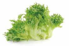 66 Salatguide Frillicesalat/ærtesalat... er meget sprød og saftig. Den har en mild, sødlig smag der minder om ærter. Anvendes i salater og som pynt på grund af de kraftige, krusede blade.