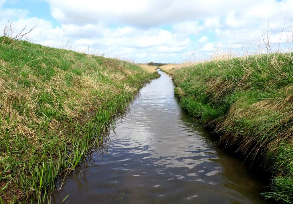 1 Baggrund og formål med undersøgelsen Morsø Kommune er forpligtiget til mindst 1 gang om året i marts eller april, at vurdere vandløbskvaliteten opstrøms og nedstrøms ferskvandsdambrug, som ligger