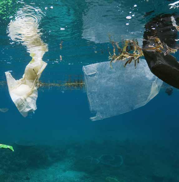 10 PLASTIK BÅDE FANTASTISK OG PROBLEMATISK Plastik i Skagerak Naturstyrelsen har i 2015 gennemført en optælling af affald på fem udvalgte kyststrækninger.