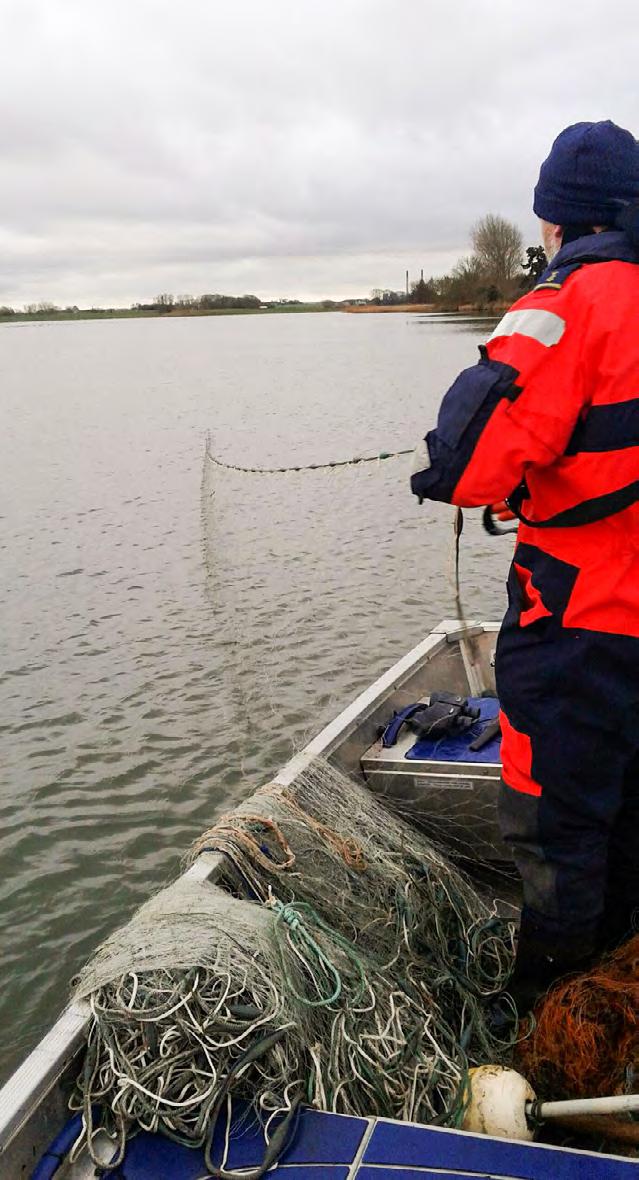 900 meter ulovlige nedgarn i Skælskør Fjord. Midt i januar gjorde Fiskeridirektoratet Øst, -afdeling Ringsted en god fangst. Desværre.