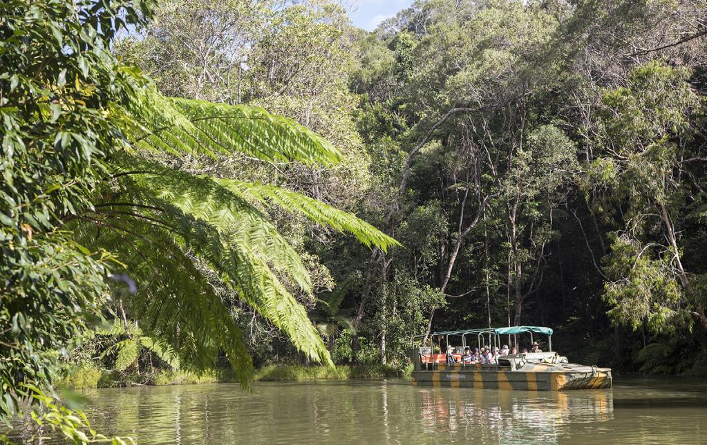 Tropiske omgivelser i Queensland Dag 19 Gennem den tropiske regnskov Turen går til den lille by Kuranda i regnskoven, hvor der er tid til at gå på opdagelse, inden turen går tilbage til kysten med