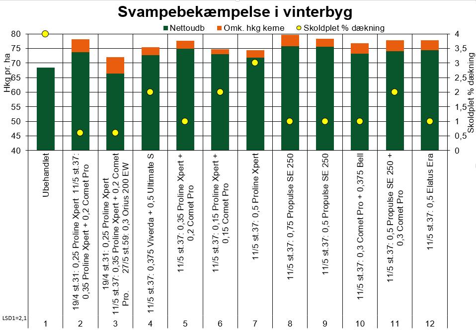 Sortsforsøget den 16. juni Foto: Erik Silkjær Pedersen Svampebekæmpelse i vinterbyg midler og antal behandlinger: Forsøget blev anlagt i sorten Frigg med forfrugt vinterraps.