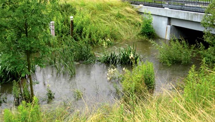Langs Harrestrup Å- systemet og i oplandskommunerne, som leder regnvand til åen, har der været problemer med oversvømmelser, idet åen ikke har tilstrækkelig kapacitet til at klare de store