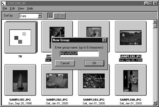 Med Windows 95/98/NT Vis billederne fra harddisken (side 30). Vælg Create New Folder i menuen File.
