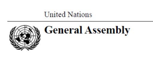 Udpluk fra en politisk erklæring fra FNs Højkommissariat september 2011 2.