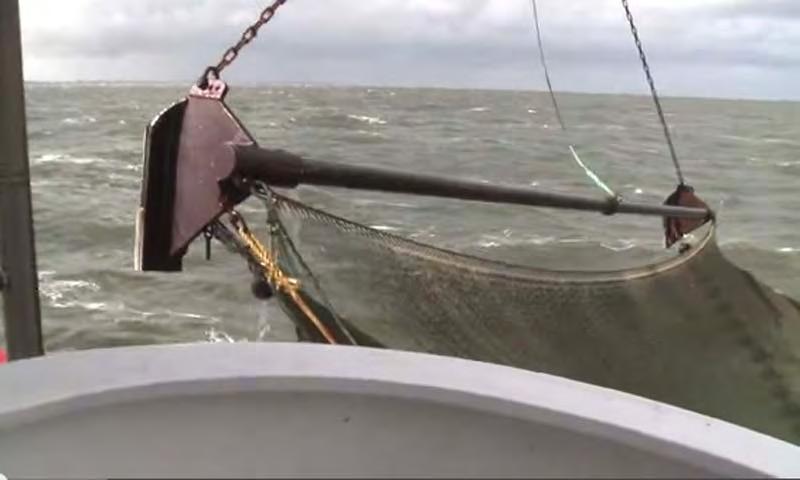 Hollændere fanget i ulovligt fiskeri To hollandske bomtrawlere blev natten til fredag den 19. august taget af fiskerikontrollen i at fiske meget tæt på den jyske vestkyst.