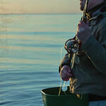 fiskesteder ved Østersøen på: