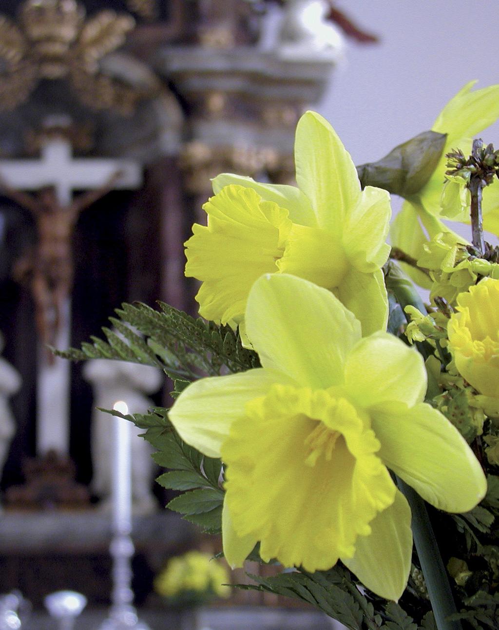PÅSKEN I TRINITATIS Trinitatis Kirke fejrer påsken med passionskoncerter, gudstjenester og fællesspisning. Fra Palmesøndag til 1. påskedag. Palmesøndag 25. marts Kl. 10.