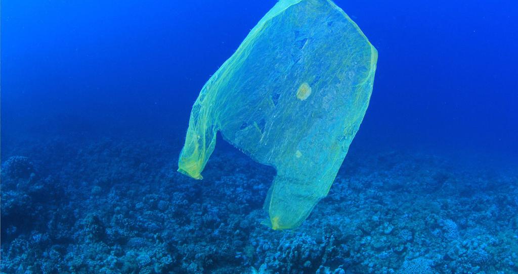 Plastik i verdenshavet hvorfor og kan det undgås? Kategori: Nyt undervisningsmateriale om FN s mål for bæredygtig udvikling.