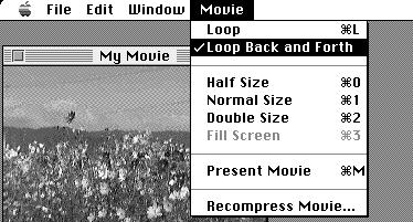 Fill Screen Billedet tilpasses næsten computerens monitor. Denne mulighed kan kun benyttes, når der er valgt Present Movie i menuen Movie.