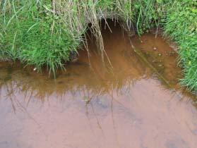 OKKERPOTENTIELLE JORDE At jorden er okkerpotentiel betyder, at der er så meget jern i jorden, at der er fare for at man ved dræning kan forurene søer og åer.