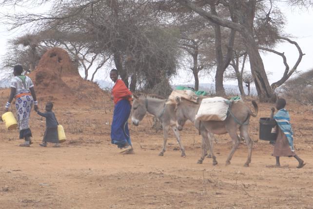 Almindeligt syn i det tørre område, hvor masaierne bor Tabitas gæstehus, som ligger helt tæt ved skolen. Det er vist unødvendigt at sige, at det var SKØNT at komme under myggenettet!! Søndag den 3.9.