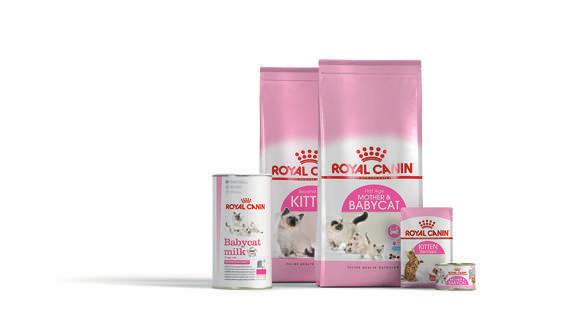 ROYAL CANIN Kitten produktserien indeholder en skræddersyet kombination af næringsstoffer, som styrker killingens immunsystem. De understøtter killingens sunde vækst og udvikling.