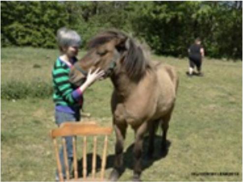 Hesten er dermed et spejl. At en hest indeholder denne egenskab gør også, at der ikke er behov for ord på sammen måde som i andre terapi former. Heste kommunikerer indbyrdes med kropssprog.