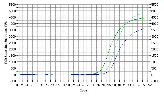 Figur 7 REAL TIME PCR med prøve DNA fra boring B309.
