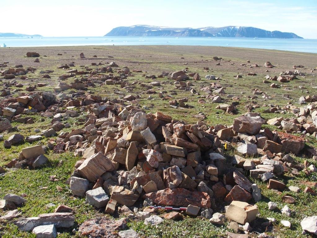 Fig. 3. Den vestlige del af sletten med Inersussat-bopladsen. En grav ses i forgrunden og Wolstenholme Ø i baggrunden. (Foto: BG).