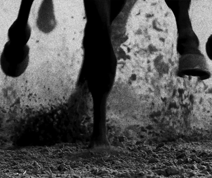 MANDAG DEN 3. SEPTEMBER 2018 // BANE 07 // RACING ARENA AALBORG 29 I alle løb er der en gavepose med øl fra Fur Bryghus til den vindende hests ejer som skal afhentes i vindercirklen.