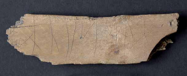 Fragment af dyreribben med runeindskrift. Indskriften lyder: (kh)n??smlr. Tegnene i parentes er usikkert læst, mens? er helt utydet.