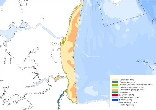 Områdets hav-natur Der er i Danmark otte marine habitatnaturtyper.