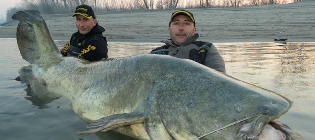 Christian Skov, DTU Aqua Monsterfisk på 127 kg En italiensk sportsfisker har haft en af sine livs største dage, da han fra sin fiskerbåd hev en kæmpefisk om bord.