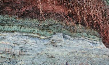 Eocæne aflejringer fra klinten ved Albæk Hoved, Juelsminde, Østjylland. Nederst ses horisontale lag af siltet grønligt og blåligt ler og vulkansk aske fra Ølst Formationen.