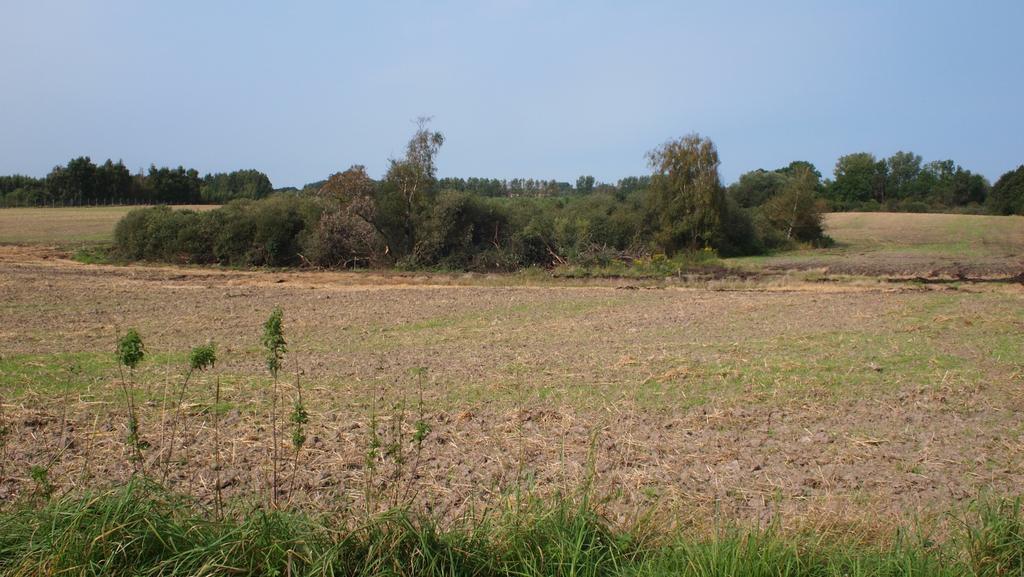 Figur 4. De tidligere mergelgrave er, selv om mange er fjernet, en af de meget almindeligt forekommende småbiotoper i landbrugslandskabet.