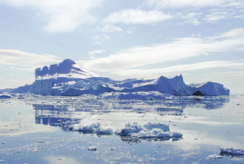 Lov- og forordningsforslag fremsat af medlemmer Forårssamling 2008 Forslag til ændring af Forretningsorden for Grønlands Landsting.