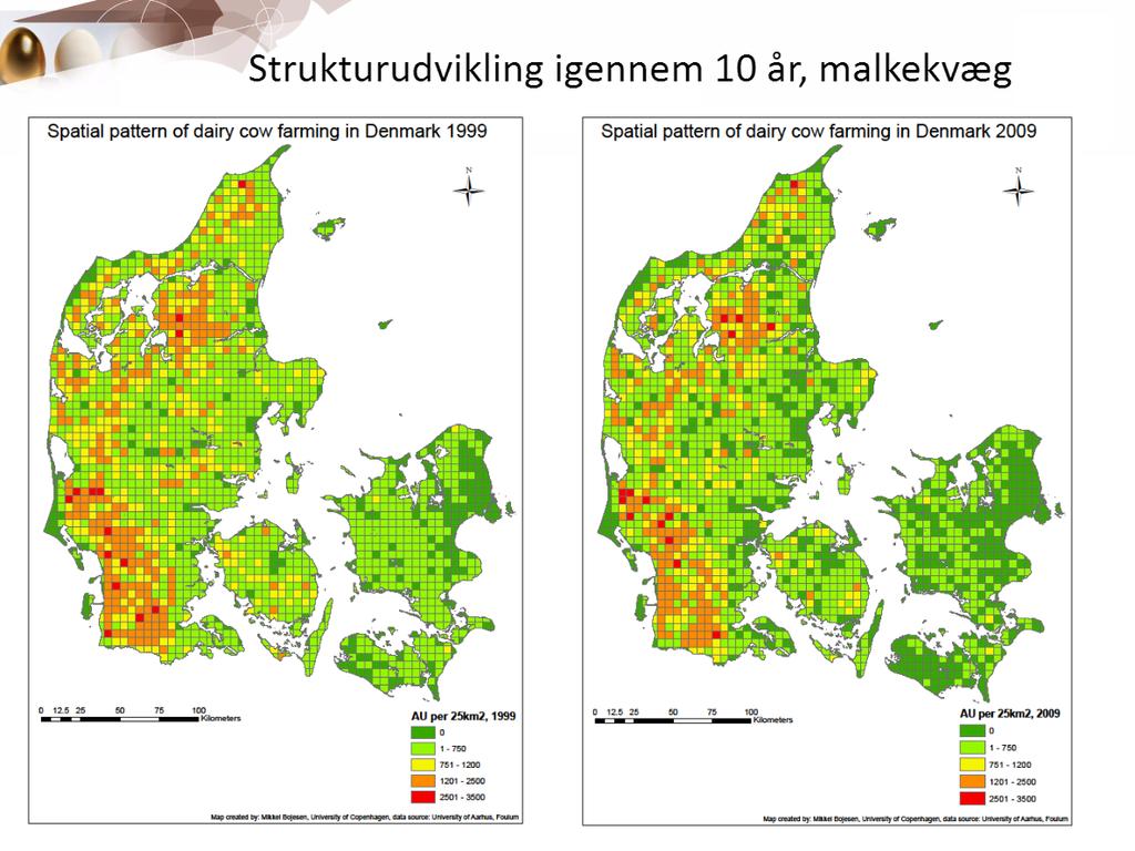Koncentration af landbrugsproduktion Mælkeproduktion i Danmark Koncentration af