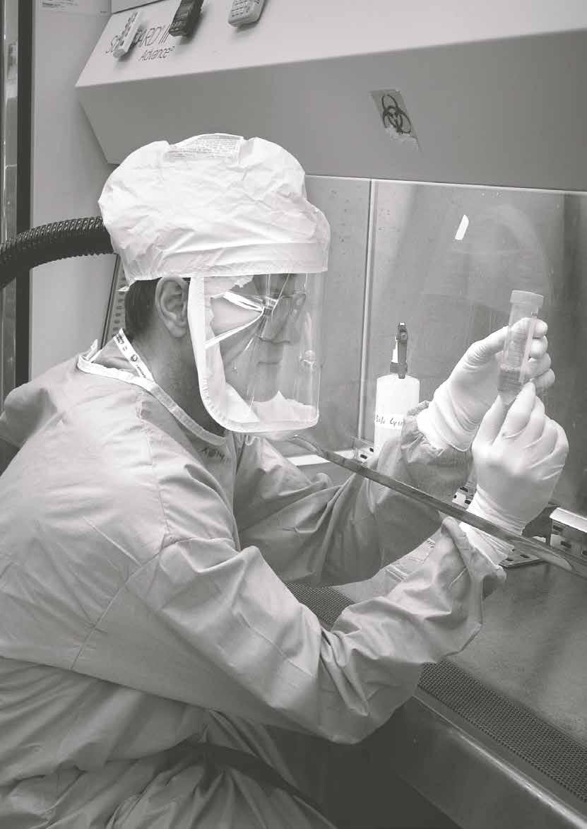 Beredskabsstyrelsen Nationalt Risikobillede En mikrobiolog iført beskyttende og luftrensende udstyr studerer egenskaberne ved et rekonstrueret influenzavirus fra pandemien i 1918-19, også kaldet Den