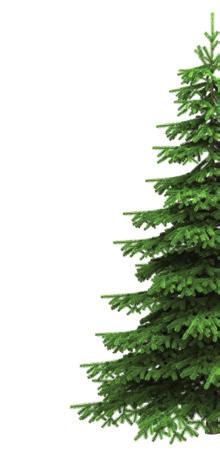 Juletræer Juletræer indsamles i uge 2 og 3 i det nye år via haveaffaldsruten, kun juletræer medtages intet andet haveaffald. Da juletræerne komposteres, skal pynt og fod fjernes.
