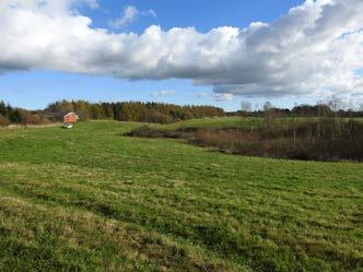 2 Præsentation Introduktion Kongemosen er en 22,3 ha. skov-, jagt- og naturejendom, beliggende i særdeles fredfyldte omgivelser, i bekvem afstand af bl.a. Silkeborg, Herning og Viborg.