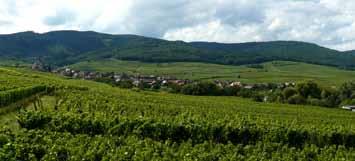 Vinavlere fra Alsace solgte således deres produkter selv eller via vingrossister.