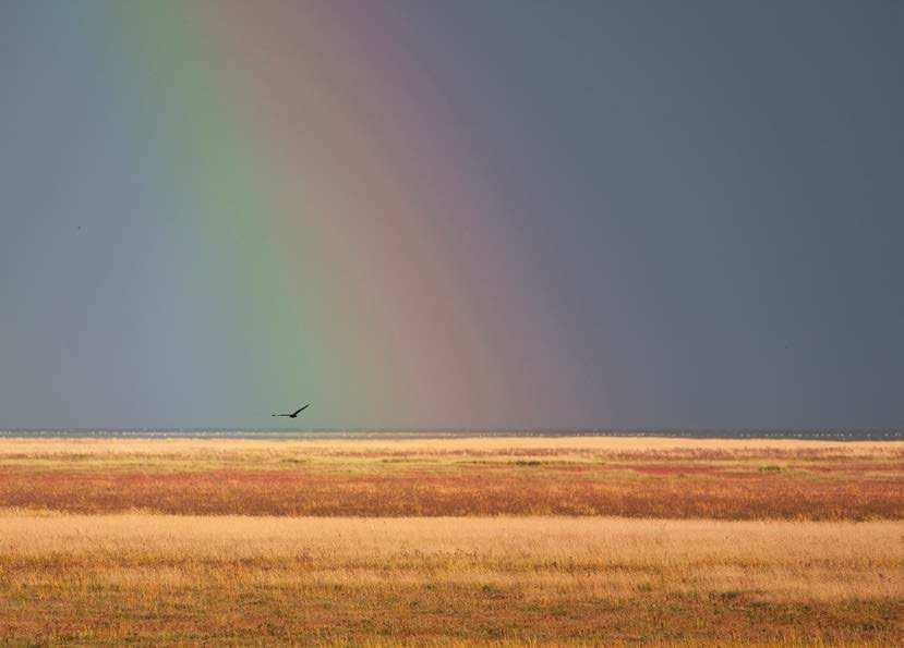 12 Vinder Landskab : I regnbuen af Per Alnor Kjær Dette foto er valgt, fordi det viser et smukt kystlandskab med havet og regnbuen i baggrunden.