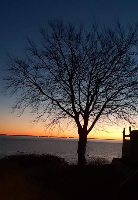 Vedbæk Strandvej v. Kristian Lind Per har været fotograf på et fantastisk morgenbillede, hvor solen står op i baggrunden.