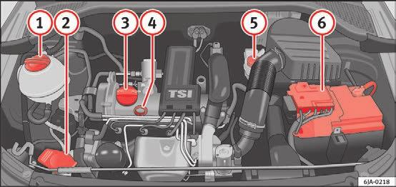 Træk låsearmen i pilens retning 2 Fig. 202. Motorhjelmen låses op. Tag fat i motorhjelmen, og løft den. Kontrol af påfyldningsmængder Kontrol og påfyldning Tag holderen til motorhjelmen 3 Fig.