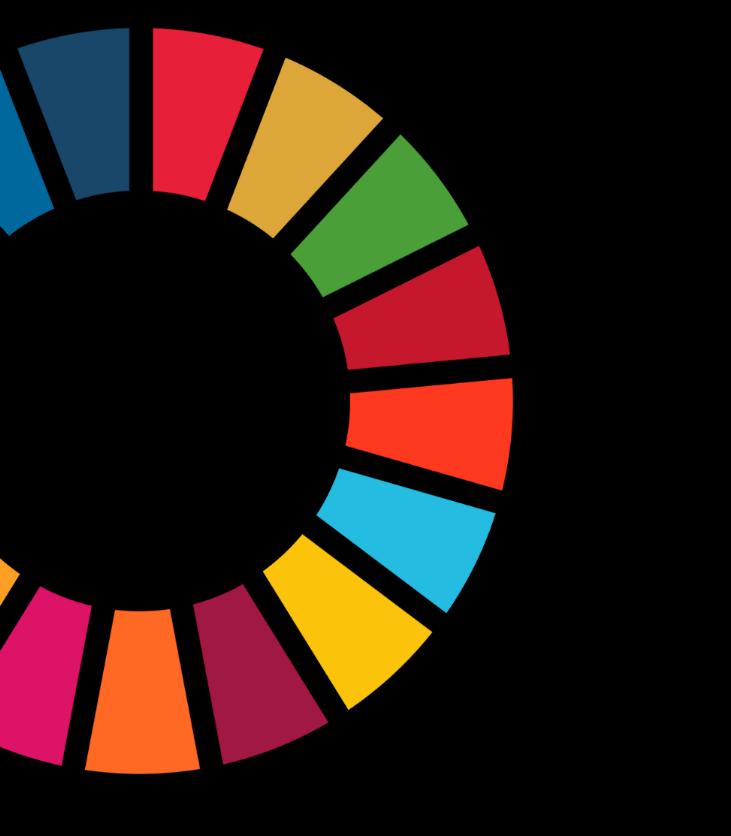Vision and Strategy: What are the drivers for prioritizing SDGs?