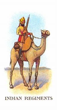 Bikaner Camel Corps, Sowar (menig), ca. 1910. Kort nr. 36 i British and American Tobacco's cigaretkortserie Indian Army Regiments, udgivet 1912; genoptrykt 2000. Selvom der befandt sig op mod 70.