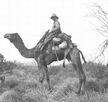 Straks efter oprettelsen af kamelkorpset blev der bud efter det, dog uden kameler. 400 mand med Maharajaen i spidsen afgik den 1.