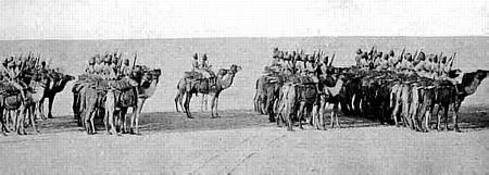 april 1903. Fra Campaigns & Wars 1862-1914 (Haileybury) 3). Korpset var fremme i Tientsin i slutningen af oktober, hvor de egentlige kampe dog var overstået. Regimentet gjorde tjeneste frem til 26.