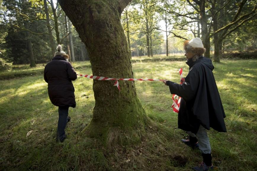 Livstræer Naturstyrelsen Vestjylland afholdte den 14.10.15 et arrangement med fokus på, at præsentere Naturstyrelsens Livstræ-projekt. Livstræer blev udpeget i og omkring Egehaven.