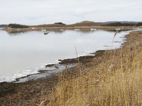 En dæmning fører over åbningen til det delvist afvandede Klæsø Nor, og her er rester af pumpestationen.