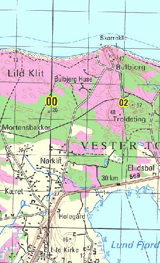 Hedearealer i Lild Klitplantage (Areal nr. 81 og 1 Beskrivelse 1.1 Generelt Hedearealerne i Lild Klitplantage ligger nord og vest for den egentlige plantage.