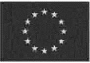 BILAG IX - VEJLEDENDE STANDARDFORMULERING TIL MEDDELELSEN OM RETTIGHEDER FOR PERSONER, DER ANHOLDES PÅ GRUNDLAG AF EN EUROPÆISK ARRESTORDRE BILAG II til direktiv 2012/13/EU om ret til information