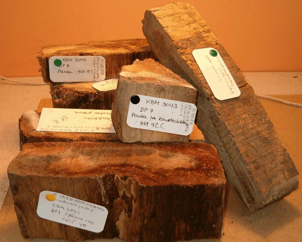 # NATIONALMUSEETS NATURVIDENSKABELIGE UNDERSØGELSER Dendrokronologisk undersøgelse af træ fra