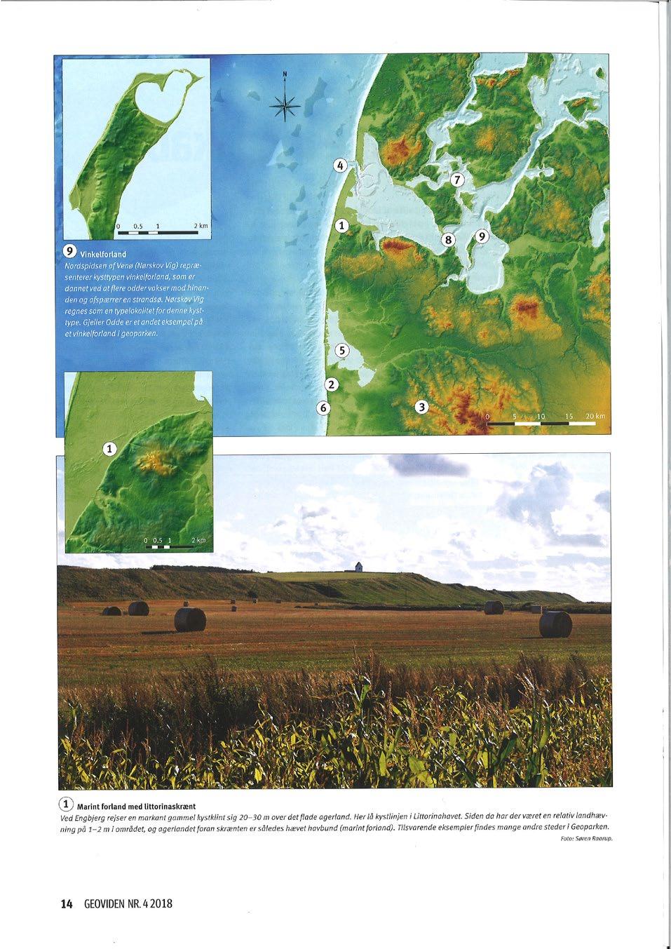 I bladet er der populærbeskrivelser af baggrunden for den kommende Geopark og de geologiske forklaringer på, hvorfor netop det nordvestlige hjørne af Jylland har stor geologisk interesse.
