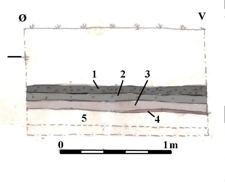 PROFILER Profil 3, lagbeskrivelse. Arkæologisk relevante lag er fremhævet med farve. 1 Gråt muldblandet sand. Formentlig fossil muldhorisont. 2 Flyvesand. Fig. 49 Profil 5, lagbeskrivelse.