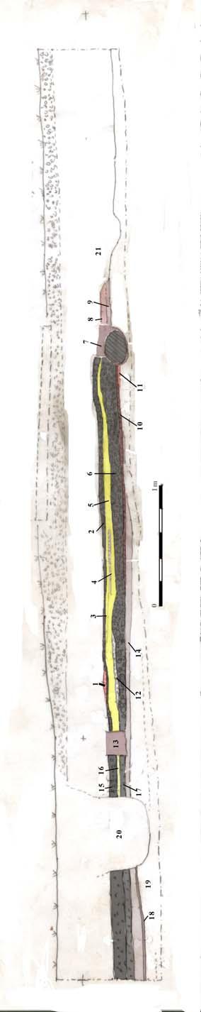 PROFILER Fig. 53 Profil 6, lagbeskrivelse. Arkæologisk relevante lag er markeret med farve. 1 Rødbrændt ler. 2 Rallag (1-2 cm store strandsten). Yngste fase af stenunderlag til hustomt. 3 Gult sand.