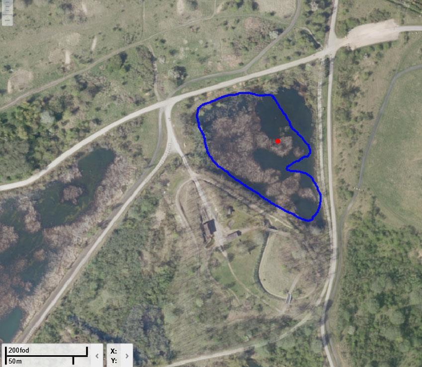 Kort 4. Lokalitet 2 - Fladesø område b. Med blåt er markeret de områder hvor bredvegetationen er bedst egnet til redeplacering. Med rødt er markeret hvor der er observeret rugende fugle/reder.