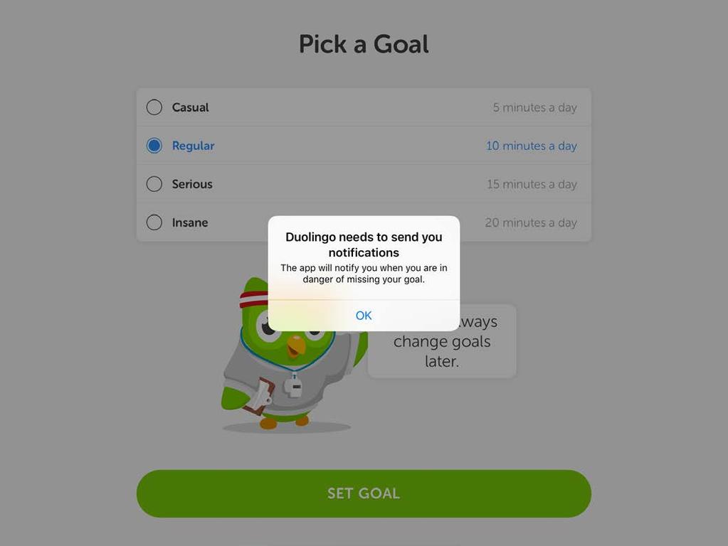Duolingo SUPPLEMENTER Mango